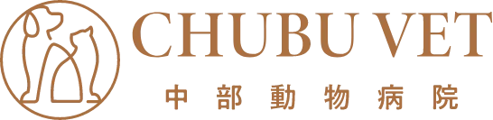 中部動物病院