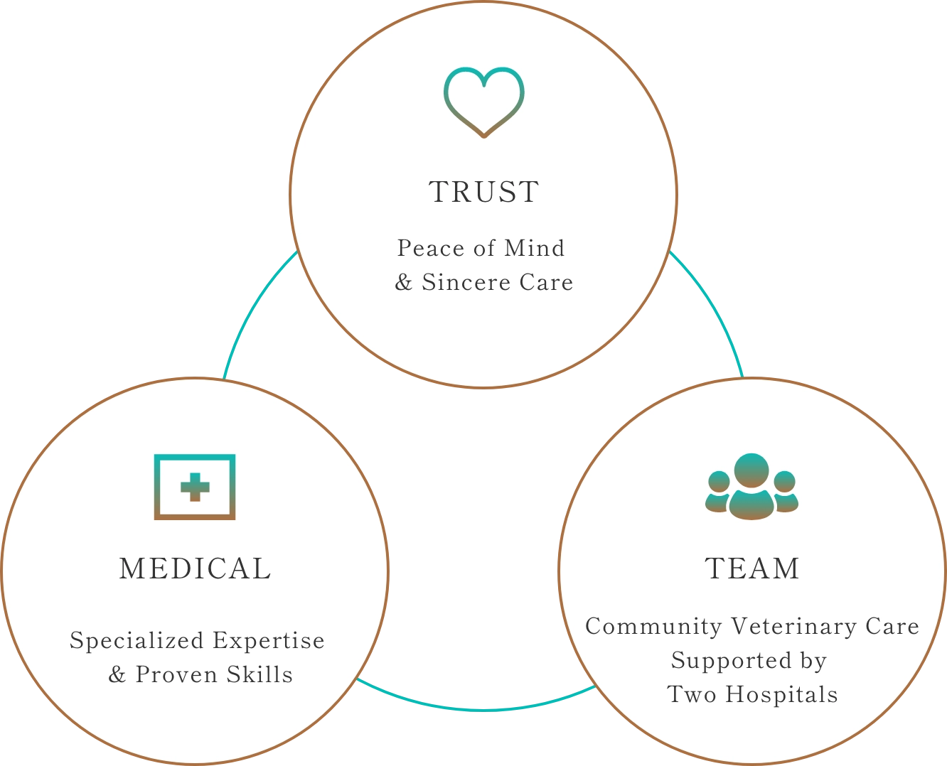 Trust, Medicine, Team