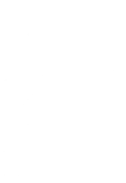 アイランド動物医療センター